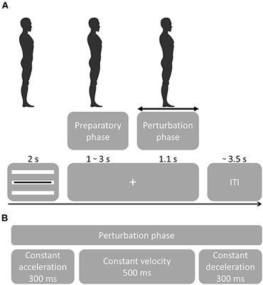 Distinct cortico-muscular coupling between step and stance leg during reactive stepping responses